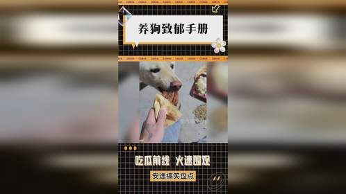 养狗致郁手册