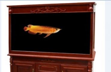 南昌修鱼缸 清洗 拆装 消毒 换水 换过滤材_4