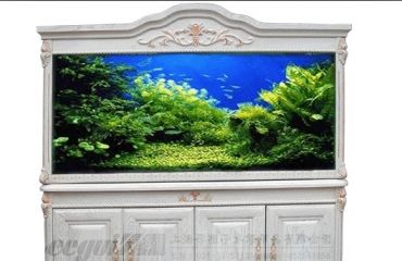 南昌修鱼缸 清洗 拆装 消毒 换水 换过滤材_2