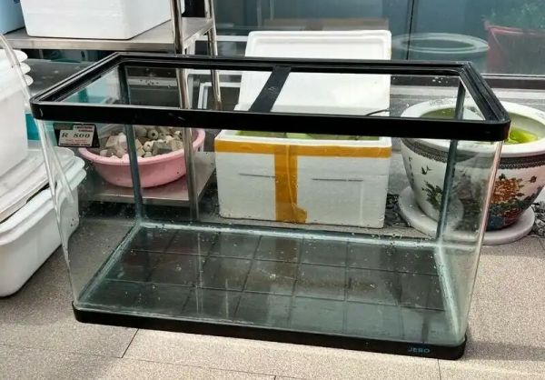 养鱼新手鱼缸选择指南：这三种鱼缸绝对不建议购买
