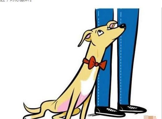 狗狗与铲屎官日常十个行为，你中几个？