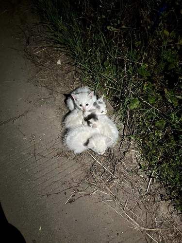 最无能为力的时候