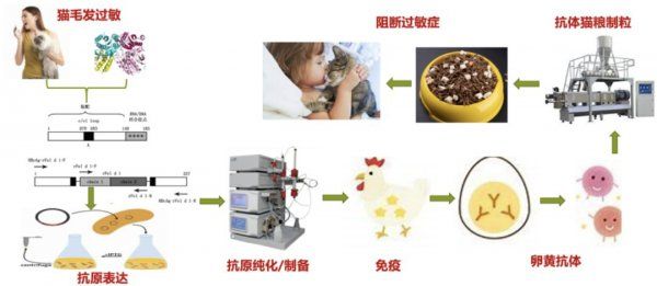 重新定义抗过敏神器