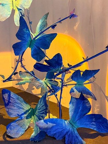 天津看展｜蝴蝶展艺术时刻