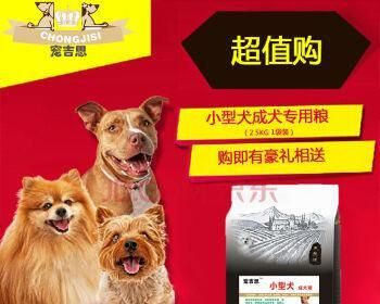 小鹿犬的狗粮选择指南（为宠物选择最适合的狗粮）