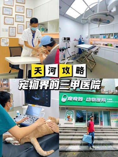 天河公园旁‼️宠物界的3️⃣甲医院来了