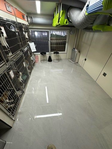 选择这家宠物医院绝对是完全正确的决定