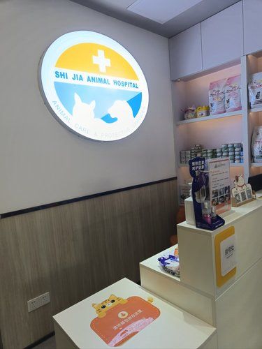 发现这家超良心的猫专科医院，亲测可冲
