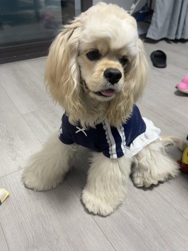 运动芭蕾风