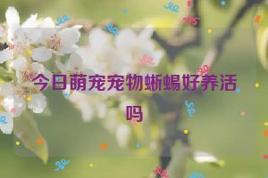 今日萌宠宠物蜥蜴好养活吗