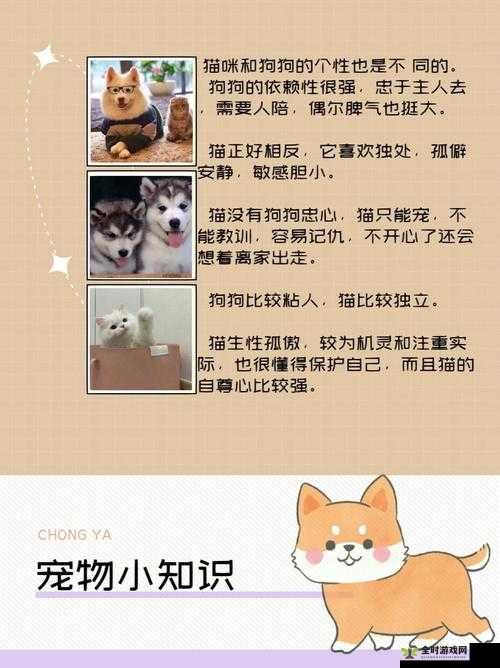 狗狗让我上瘾戒不掉怎么办：宠物依赖症的困扰与解决之道