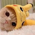 https://p1.meituan.net/userheadpicbackend/b93df64ddef74573ed0851166d6a4b2928630.jpg%40120w_120h_1e_1c_1l%7Cwatermark%3D0