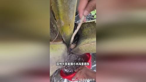 大哥家里就等你的鱼招待客人了