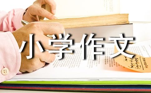 我的宠物小学作文