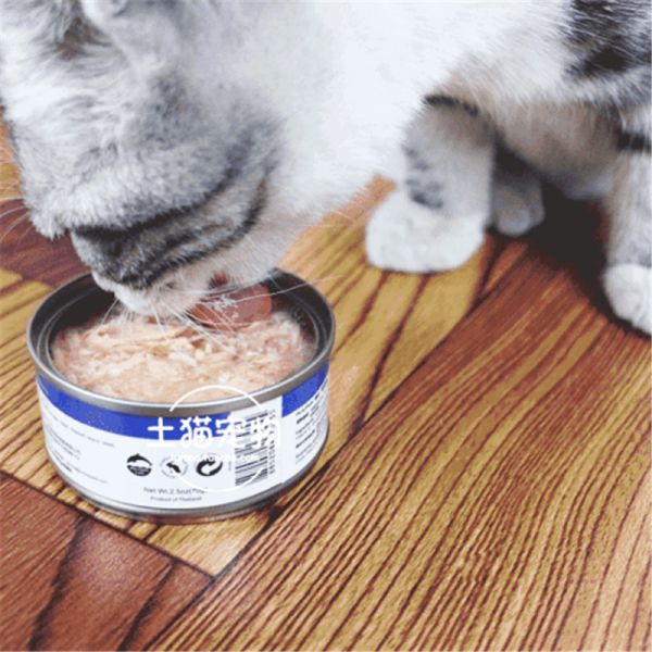 【铲屎官学堂】 关于猫咪罐头那些事！