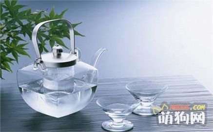 喂养狗狗6个好习惯，一般铲屎官都能胜任！