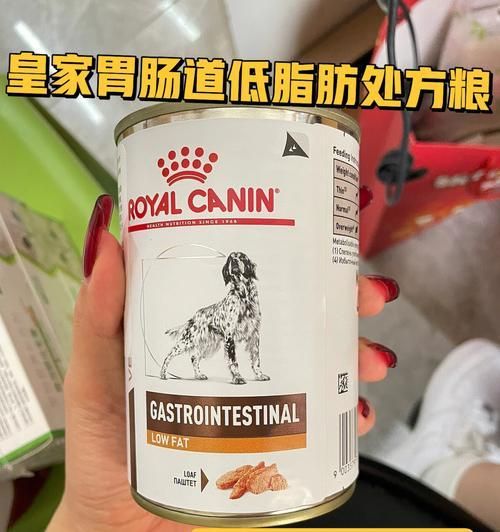 狗狗消化道问题解决方案（药物治疗，维护宠物健康）