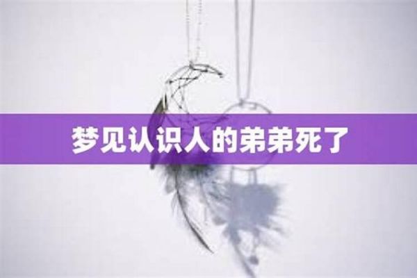 属猪的跟什么属相