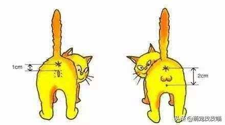 文章图片6