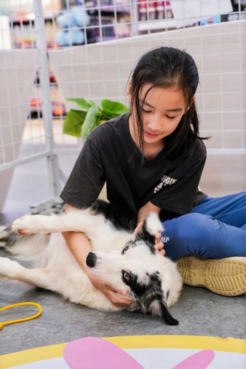 华润万家六月萌宠主题互动活动开展，打造人宠友好社区