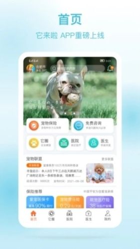 它来啦