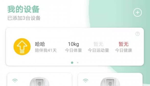 聚宠宠物