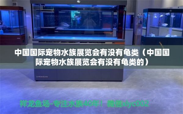 中国国际宠物水族展览会有没有龟类（中国国际宠物水族展览会有没有龟类的） 乌龟