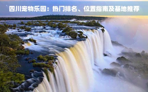 四川宠物乐园：热门排名、位置指南及基地推荐