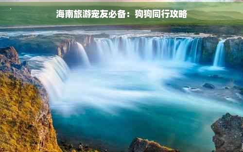 海南旅游宠友必备：狗狗同行攻略