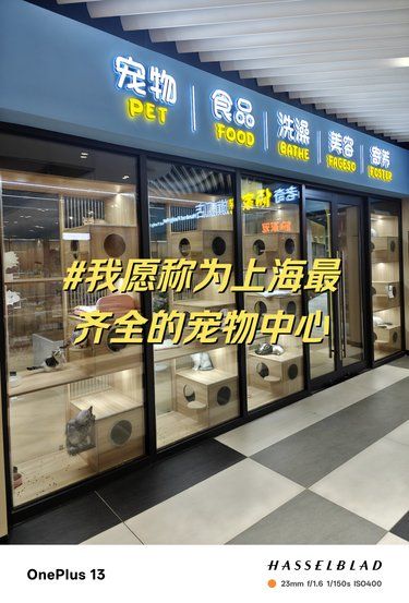 猫狗齐全的宠物中心
