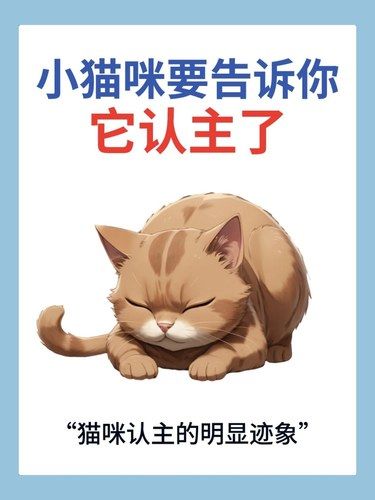 小猫咪可不是高冷动物，它们也会认主的~