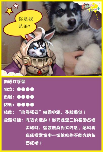 萌宠乐园华夏，人与自然的和谐共生之梦，宠物文化的传承与创新之地探秘生态保护与文化发展的交融之处