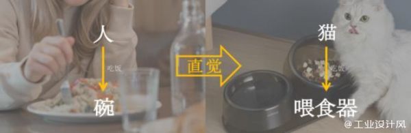 满足主人和宠物双向需求，宠物喂食器设计该从哪出发？