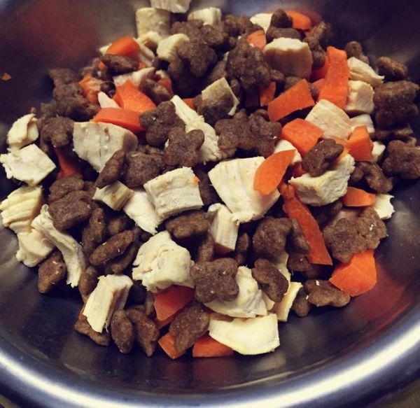 狗狗食谱-鸡胸肉拌狗粮的做法
