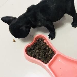 自制狗粮（软粮）的做法 步骤6