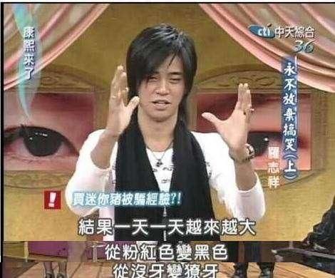 罗志祥买宠物被骗，“宠物猪”变野猪！长到300斤，出动吊车运走