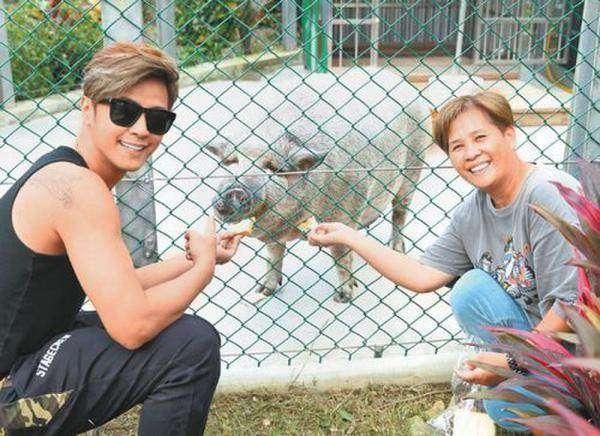 罗志祥买宠物被骗，“宠物猪”变野猪！长到300斤，出动吊车运走