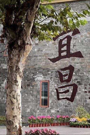 ✨宜昌二马路，宝藏打卡地✨