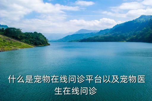  什么是宠物在线问诊平台以及宠物医生在线问诊