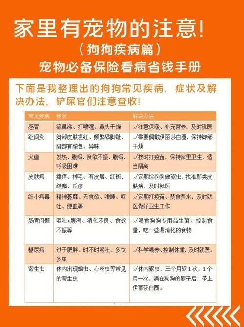 宠物保险知识大全