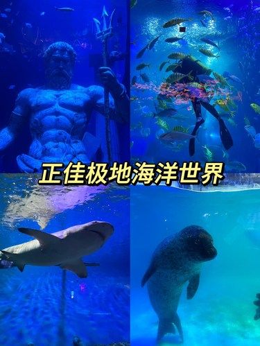 广州·正佳极地海洋世界丨周末遛娃好去处！