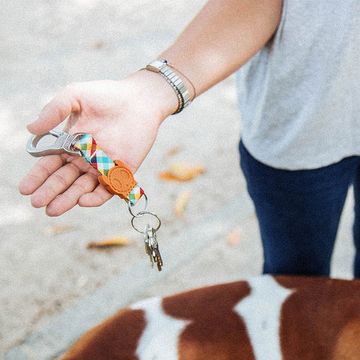 美国zeedog 多色炫彩宠物钥匙链 欧美潮牌 小图 (0)