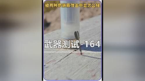 被两种奇葩霰弹击中会怎么样爱好者