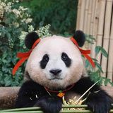 让我发财