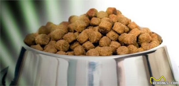 蛋白质越多，犬粮的品质就越好？我们的狗狗到底需要多少的蛋白质