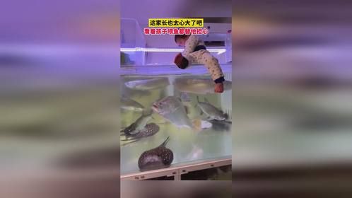这家长也太心大了吧，看着孩子喂鱼都替他担心