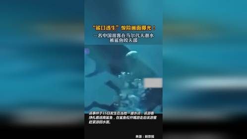 一名中国游客在马尔代夫潜水被鲨鱼咬头部。