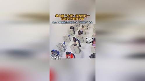 女子带小抄来考科目一，监控头下原形毕露