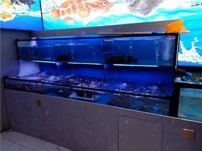 海中王鱼缸（海中王鱼缸养护秘籍大揭秘禹州市海中王鱼缸养护秘籍） 鱼缸百科 第1张