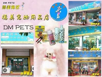 鱼缸养护秘籍：华南城水族文化探秘华南城水族文化探秘华南城水族文化探秘 鱼缸百科 第1张